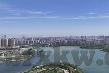777大象传媒视频入口-777大象传媒，网络文化与创意的交汇点