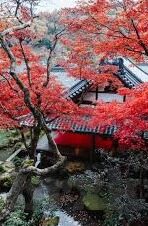 91视频青青草麻豆-与时俱进，数字时代下的视频内容新生态——91视频青青草麻豆的探索