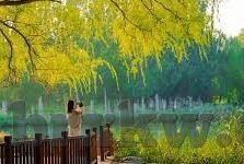 91亚洲国产成人久久精品麻豆-探索91亚洲国产成人久久精品麻豆，一段关于文化探讨与理解的旅程