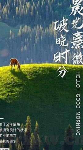 大象传媒8o8o十八-探索大象传媒的多元化发展，8o8o十八的独特魅力