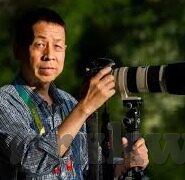 大象传媒在线免费看-大象传媒，在线免费观影的精彩世界