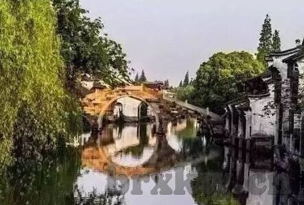 大象传媒赵艺-探索大象传媒赵艺的创意与影响力，一位行业先锋的崛起之路