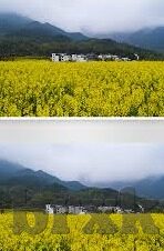 国产麻豆91精品影-国产剧作的魅力与影响，以国产麻豆91精品影为例浅析