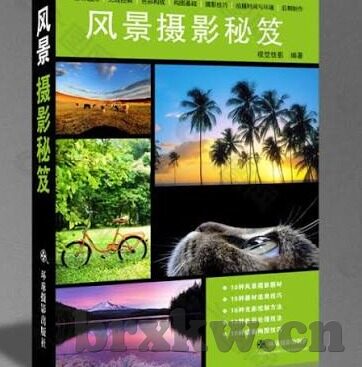 韩国伦理中文字幕在线播放-韩国伦理剧的多元视角，中文字幕下的文化探索