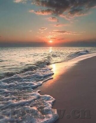 伦理电影网址-伦理电影的探索之旅，解锁网络上的道德与智慧