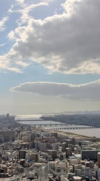 麻豆av一级在线-