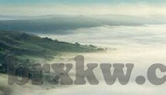 麻豆映画视频-独家揭秘，麻豆映画视频，创意与艺术的视觉盛宴